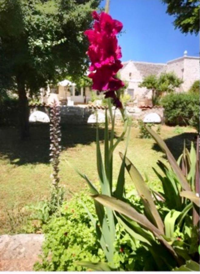 Appartement Maison Santarosa à Castellana Grotte Extérieur photo